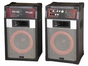 BOXE KARAOKE BASS REFLEX CU STATIE INCORPORAT