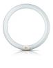 Tub fluorescent circular 22w g10q