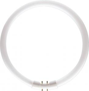 TUB FLUORESCENT CIRCULAR TL5 22W 2GX13 PHILIPS