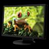 Monitor nec multisync ea241wm 24