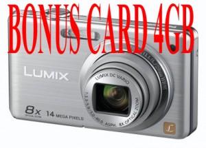 Aparat foto digital Panasonic DMC-FS30-K, silver +card 4GB , KIT-DMCFS30S/SDR04