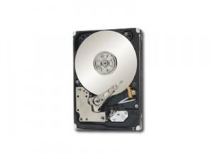 HDD Server SEAGATE Constellation.2, 1TB, 64MB, Serial Attached SCSI, ST91000640SS