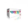 Toner cartridge colorovo