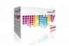 Toner cartridge colorovo 31-c compatibil cu hp cc531,