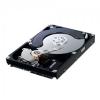 HDD Samsung SpinPoint F1 Series 320GB, 7200rpm, 16MB, SATA2 HD322HJ