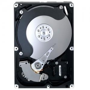 HDD Samsung Spinpoint F1, 500GB, 7200 rpm, SATA2, 16MB HD502IJ