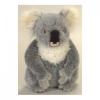 Animal plus National Geographic Koala mediu 26 cm, NG-MARSUPIALI26-KO