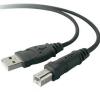 Cablu usb belkin, usb a / usb b, 1.8m, f3u154cp1.8m