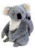 Animal plus national geographic koala cu