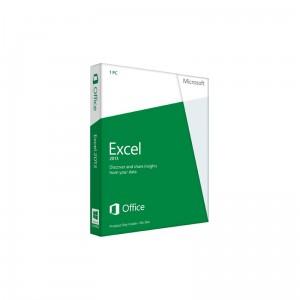 Aplicatie Microsoft Excel 2013 32/64-bit engleza - PKC MFG.065-07515
