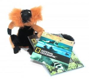 Animal plus National Geographic Breloc lemurieni 4 modele 10 cm, NG-LEMURIENI10-BR