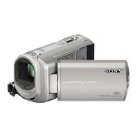 Camera video Sony DCR-SX30E Silver
