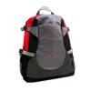 Backpack canyon cnf-nb03r for up to 12 inch laptop, red-gray