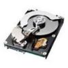 Hard disk server ibm 500gb,