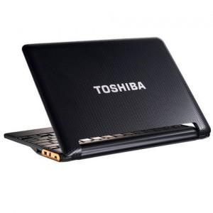 Netbook Toshiba Cloud Companion AC100-10D cu procesor nVidia Tegra 250 1GHz, 512MB, 16GB SSD, Eclipse Black