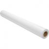 HARTIE Epson Premium Semimatte Paper Roll, 16 Inchx 30.5m, S042149