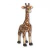 Animal plus national geographic girafa