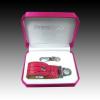 PRESTIGIO Leather Flash Drive NAND Flash 4GB, USB 2.0, Leather case, Pink, PLDF4096CRPINK