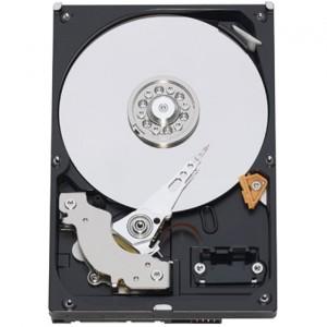 Hard disk Hitachi 250GB SATA-II 7200 rpm 8MB Deskstar 7K1000.C