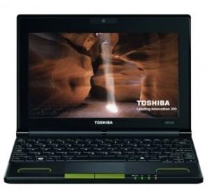Laptop Toshiba, Atom N550, 10.1 Inch, 1 GB Ram, 250 GB HDD, W7 Starter, NB520-10C