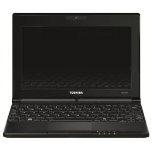 Netbook Toshiba Toshiba NB500-110, ATOM N455(1.66GHz),1GB(1066MHz),250GB (5400rpm) SATA,10.1 Wide,  PLL50E-02M015G5