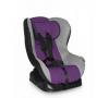 SCAUN AUTO BETA, Black & Purple, 0 -18 Kg, 1007066 1260 (lichidare stoc)
