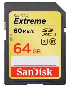 Card Extreme SDHC SanDisk, 64 gb, Class 10, SDSDXN-064G-G46