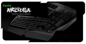 Gaming Keyboard  Razer Arctosa Black, Fully-programmable keys, Selective anti-gho, RZ03-00260800-R3M1
