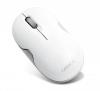 Input devices - mouse canyon cnr-msbt01 (wireless