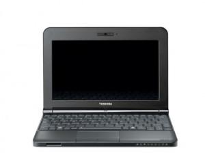 Laptop netbook Toshiba NB200-10P, Black,PLL25E-00401KG3