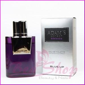 Adams Blue Up 100ml (EDT)