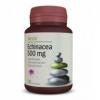 Echinacea 500mg (30 Comprimate) Alevia