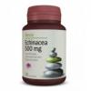 Echinacea 500mg (30 comprimate) alevia