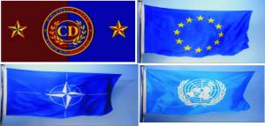 Steaguri organizatii internationale