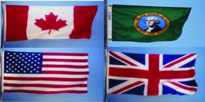 Steaguri diferite state ale lumii