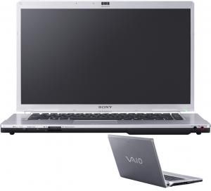 Laptop Sony Vaio FW41ZJ/H (VGNFW41ZJ/H.CEK)
