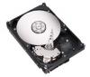 HDD SAMSUNG 1TB/SATAII/32M HD103UJ