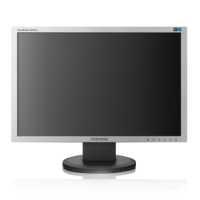 Monitor Samsung Tft Wide 20 2043nw Silver