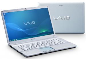 Laptop Sony Vaio (VGNNW20EF/S) Argintiu