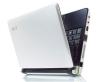 Laptop Acer Aspire One AOD250-0Br (LU.S690D.059)