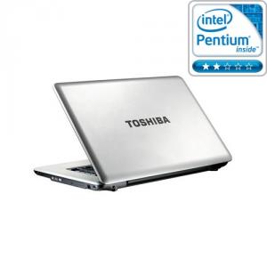 Laptop Toshiba Satellite 15.6 L450-16N Argintiu