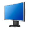 Monitor samsung tft wide 19 943nw argintiu