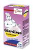 Giardinon sirop 100 ml farmaclass