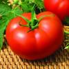 Seminte de tomate kiveli