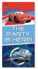 Banner decorativ pentru usa cars 2 mcqueen & finn