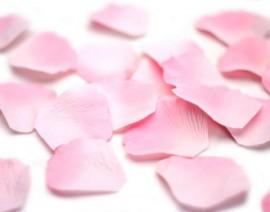 100 Petale de trandafiri PINK LOVE PETALS