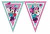 Banner stegulete triunghiulare din plastic 2.3m minnie mouse dots