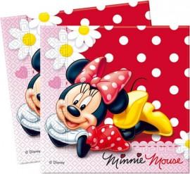Set Party MINNIE MOUSE RED
