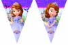 Banner stegulete plastic SOFIA THE FIRST