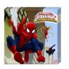 20 Servetele 33x33cm SPIDERMAN Web Warrior